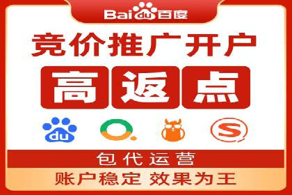 SEM竞价优化技巧分享：成功案例揭秘